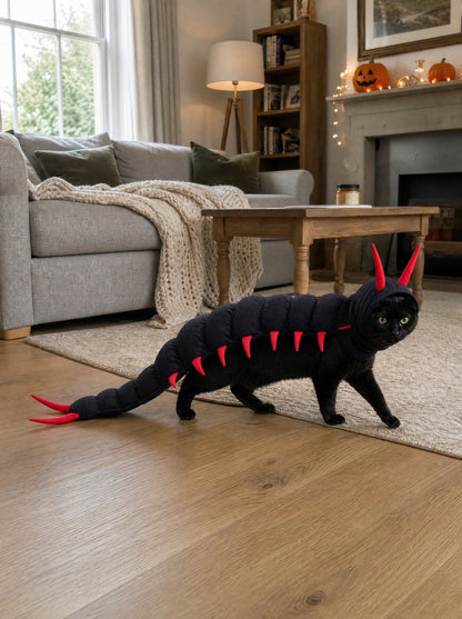 A black cat wearing the Scuttlecat costume walking across a living room floor