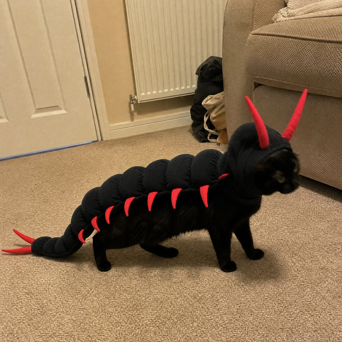 scuttlecat-review-1