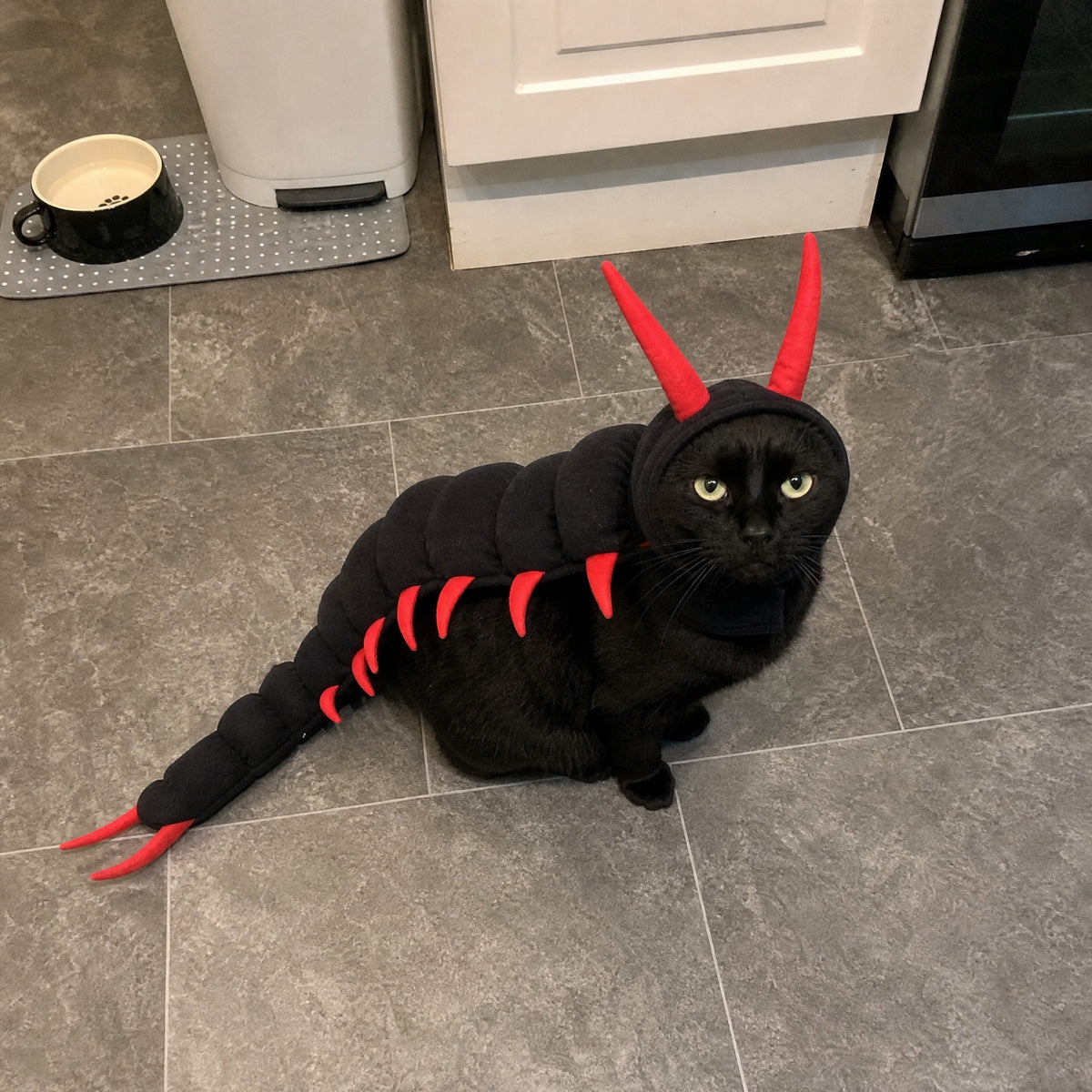 scuttlecat-review-2