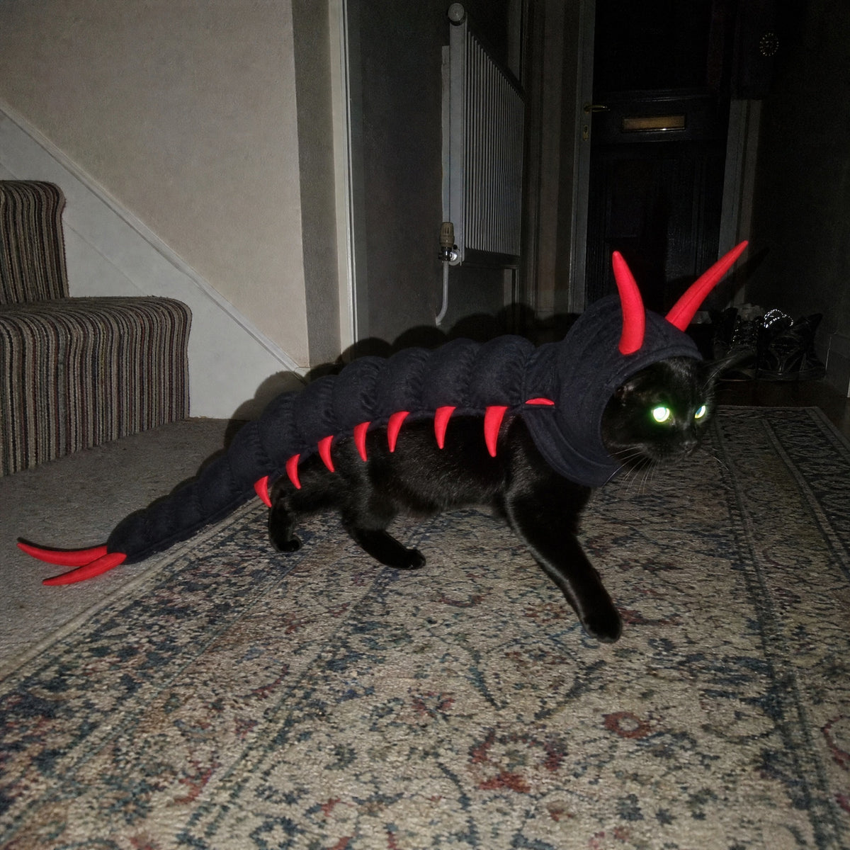 scuttlecat-review-3